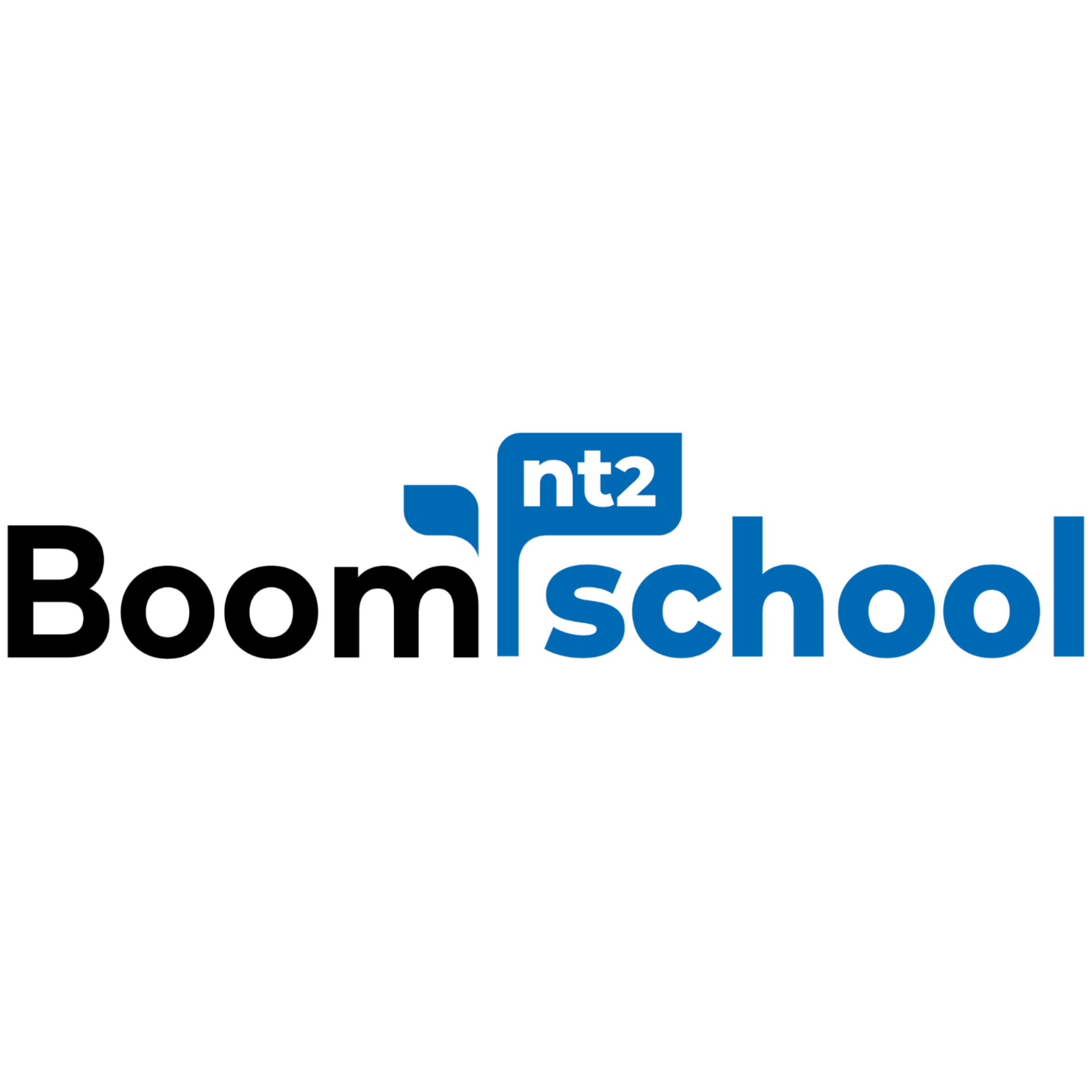 Boom Nt2 School's logo